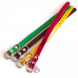 Collares para perros