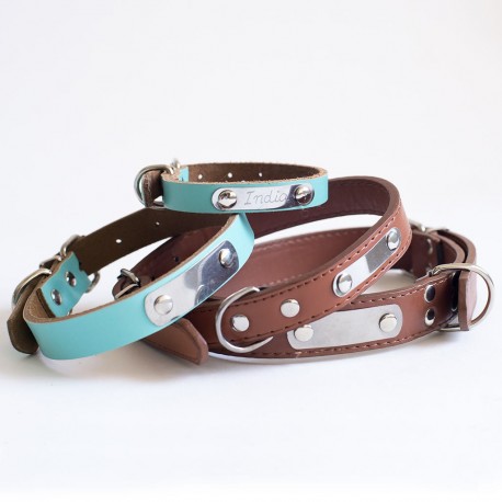 Collar con nombre para mascota