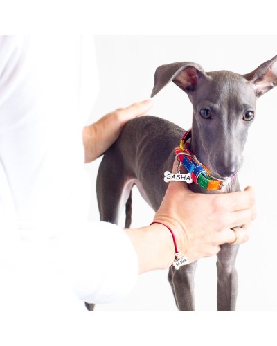 Collar con nombre para perro con pulsera para mujer