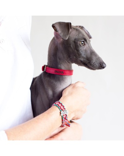Collares para perros