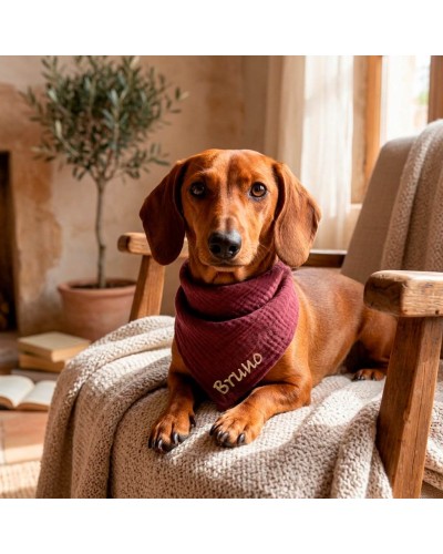 Bandana para Perros y Gatos Personalizada con Nombre