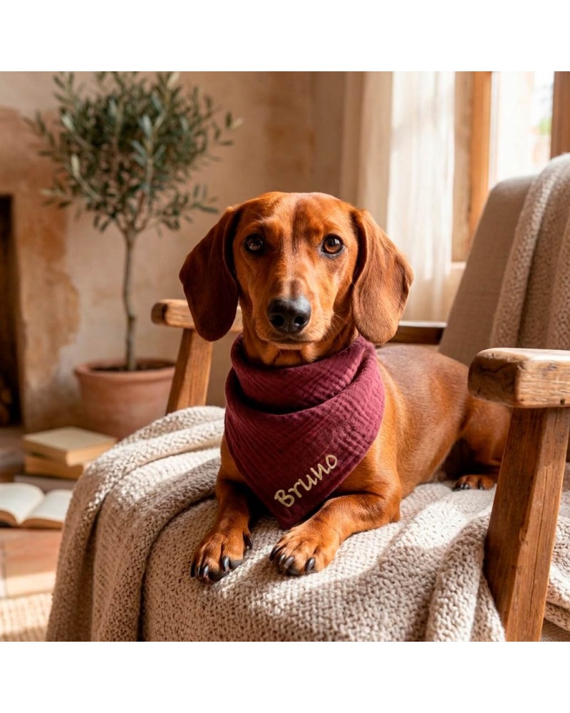 Bandana para Perros y Gatos Personalizada con Nombre