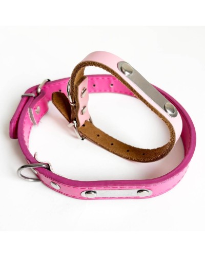 Collares con nombre para perros