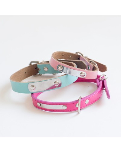 Collar con nombre para mascota