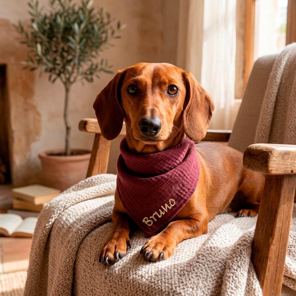 Bandana para perro con su nombre